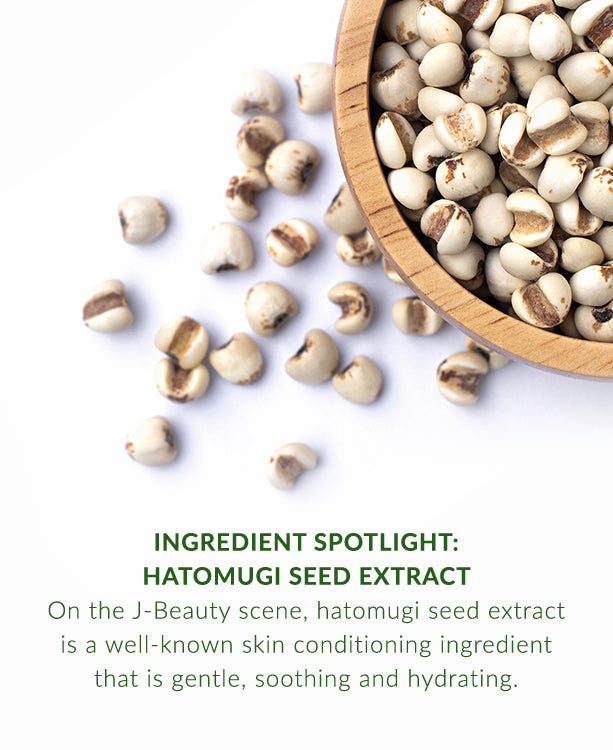 Hatomugi Face Wash-4