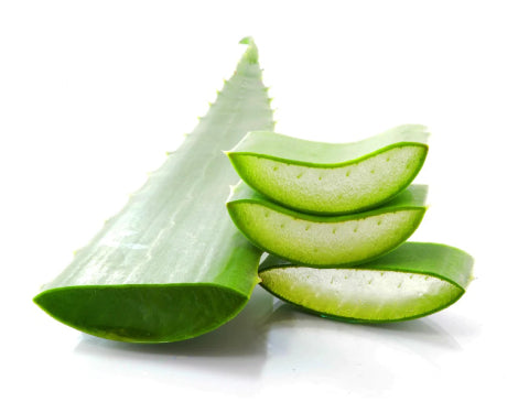 Aloe Leaf Extract