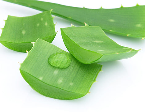 Aloe Leaf Extract