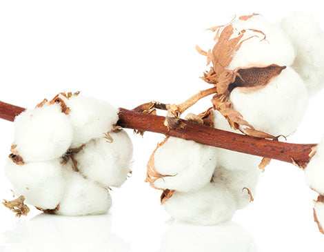 100% Cotton