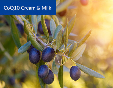 Organic Olive Oil