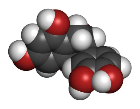 Fatty Acids