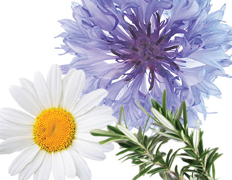 Flower Extracts