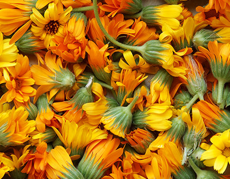 Flower Extracts