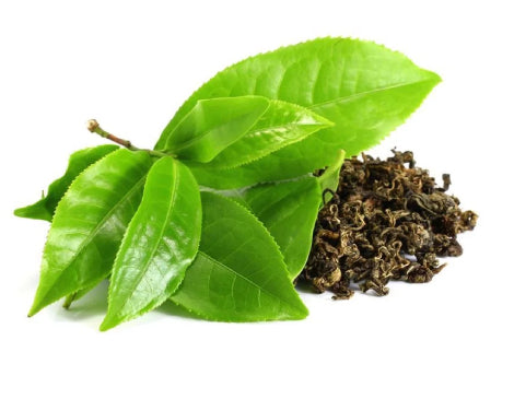 Green Tea (Camellia Sinensis) Leaf Extract