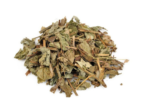 Houttuynia Cordata (Dokudami) Extract