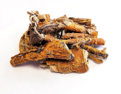 Mulberry Root Extract