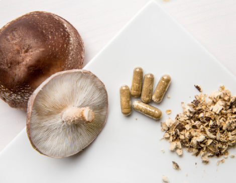 Mushroom Extract
