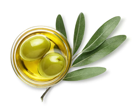 Olive Fruit Oil