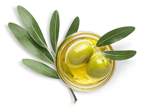 Olive Leaf Extract