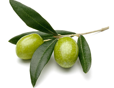 Olive leaf extract