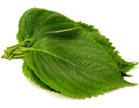 Perilla Leaf Extract