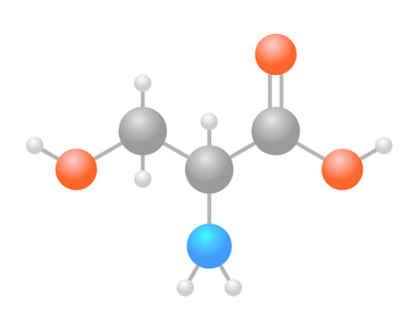 Amino Acids