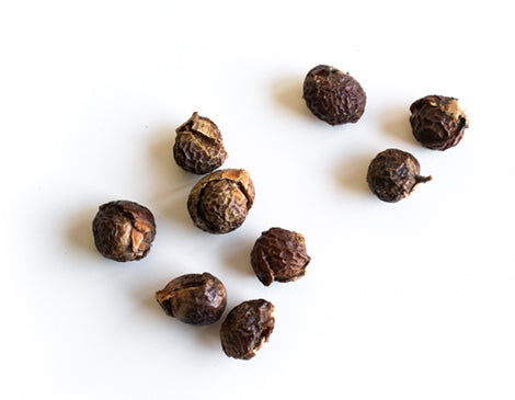 Indian Soapberry