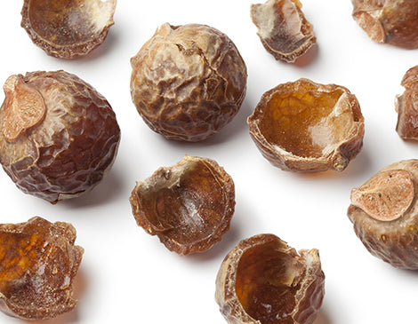 Soapnut peel extract