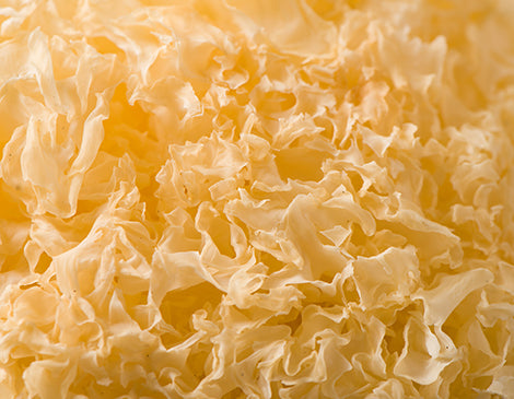 Tremella fuciformis polysaccaride
