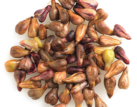 Grape Seed Oil
