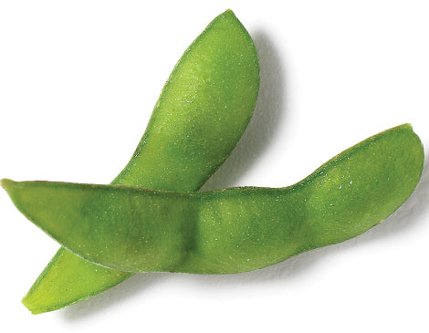 Polyamine (soybean germ extract)
