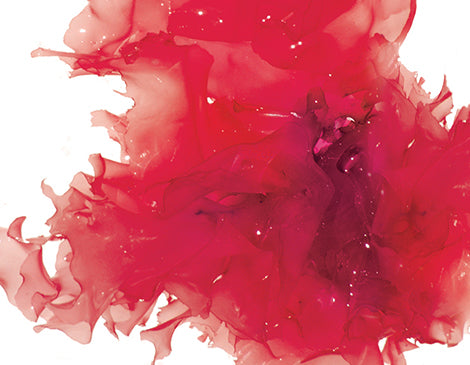 Red Clover Flower Extract