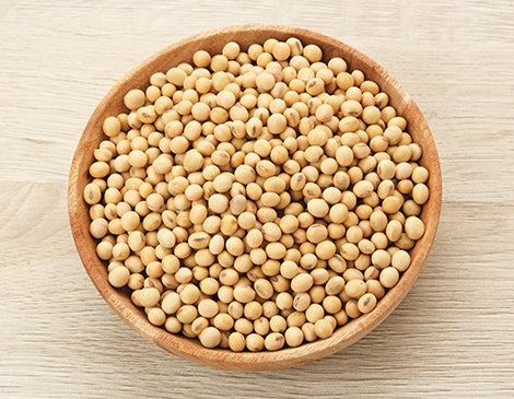 Soybean Seed Extract
