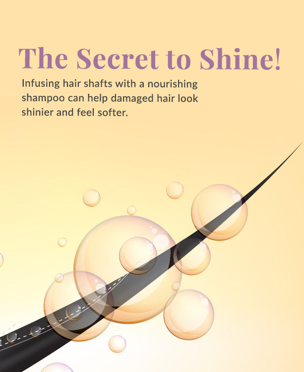 Light & Smooth Shampoo