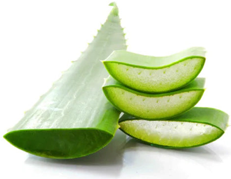 Aloe Vera Leaf Extract