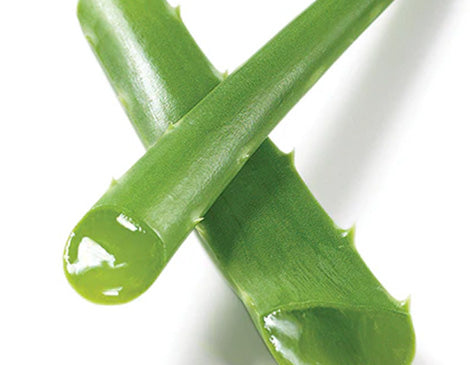 Aloe Barbadensis Leaf Juice