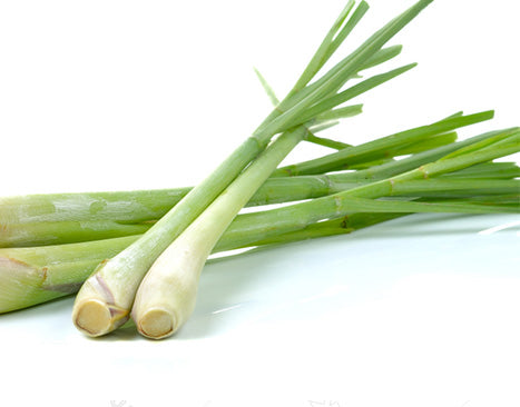 Lemongrass Leaf/Stem