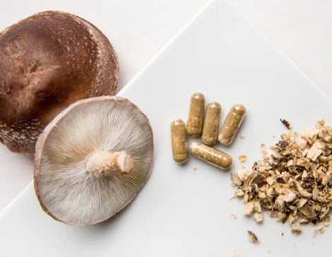 Mushroom Extract