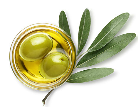 Olive Fruit Oil