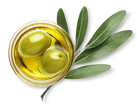 Olive Leaf Extract