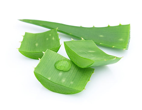 Aloe Vera Leaf Extract