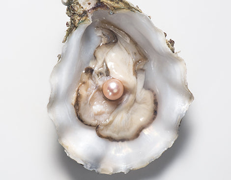 Pearl Protein (hydrolyzed conchiolin protein)